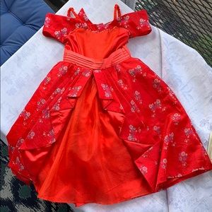 Disney Princess Elena dress